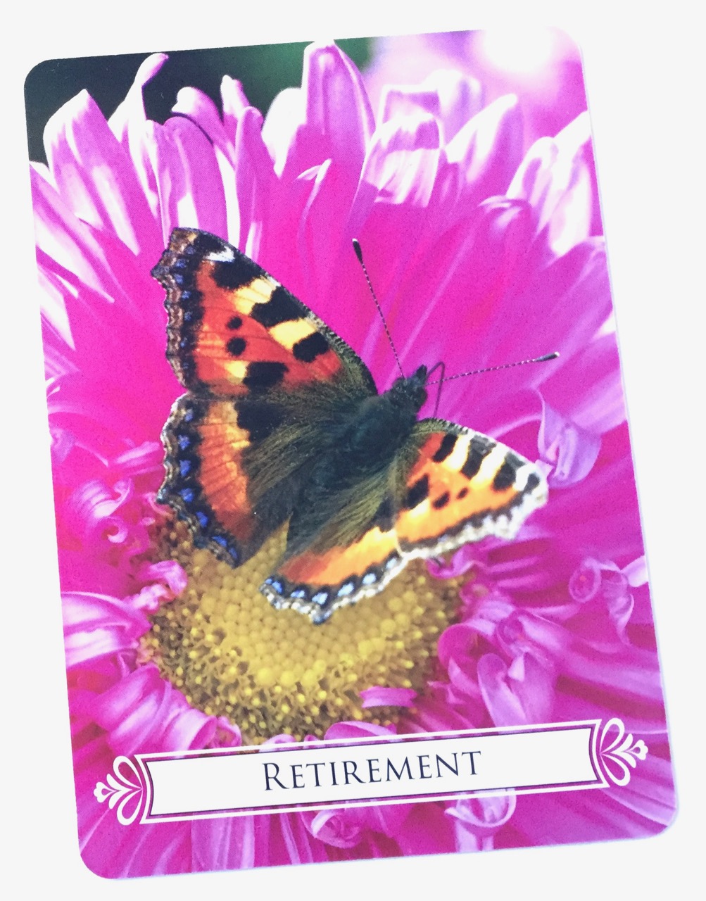 格安即決 バタフライオラクルカード 健康/医学 - education.semel.ucla.edu